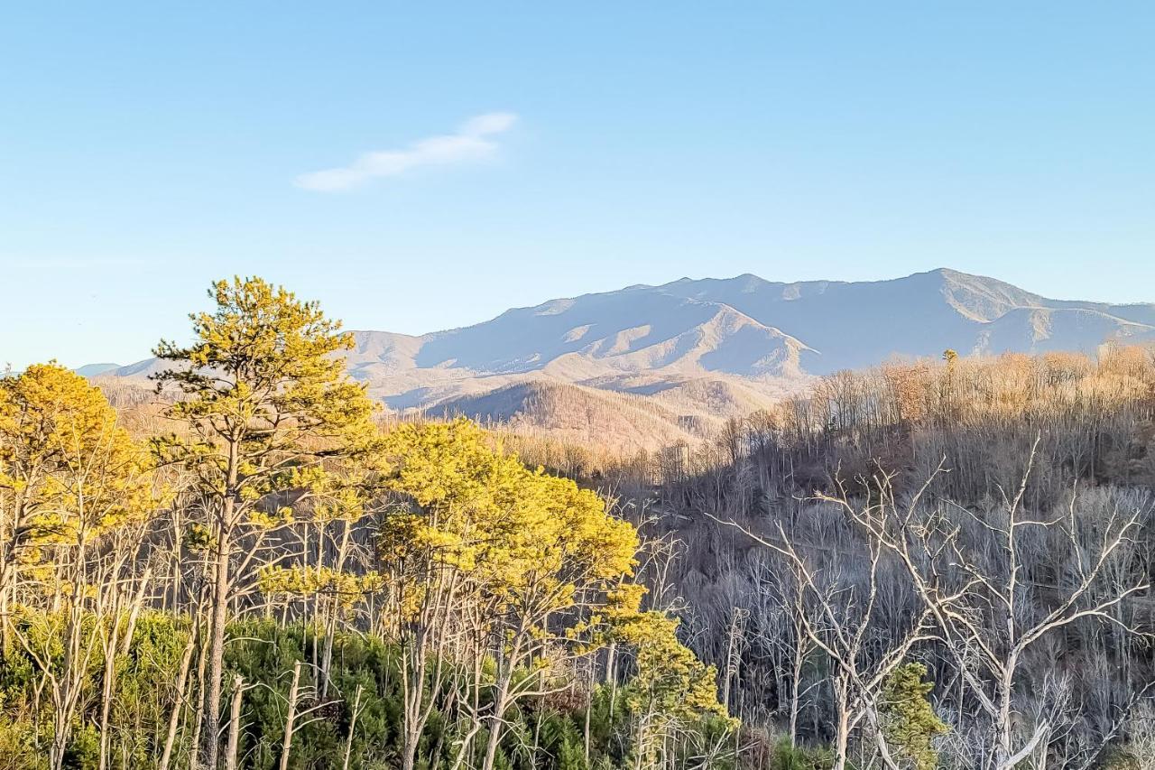 3 Lazy Bears Chalet Gatlinburg Dış mekan fotoğraf